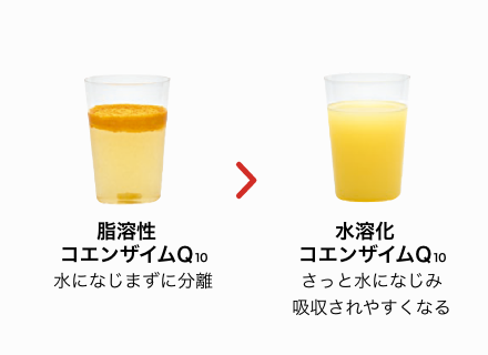 脂溶性コエンザイムQ10 水になじまずに分離 > 水溶化コエンザイムQ10 さっと水になじむ