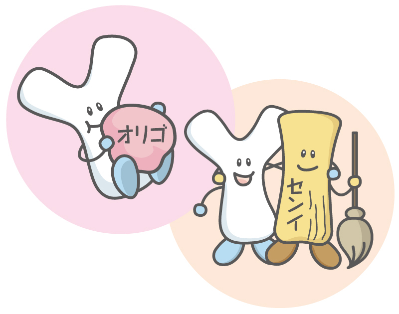 オリゴ糖　ビフィズス菌　食物繊維のイラスト