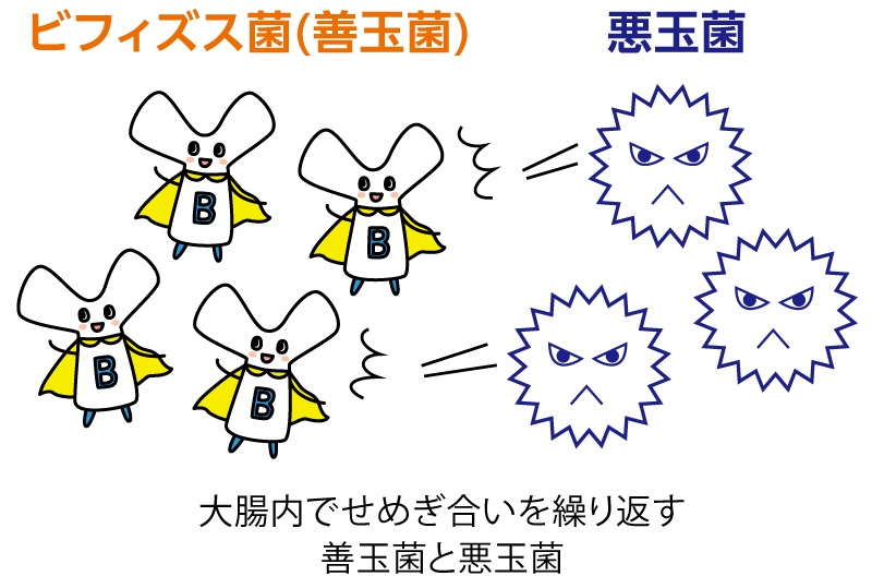 善玉菌と悪玉菌のイラスト