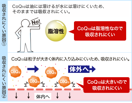 コエンザイムQ10が吸収されにくい原因