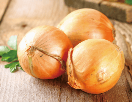 過去の開発をヒントにタマネギ由来含硫アミノ酸の特許製法を生み出す