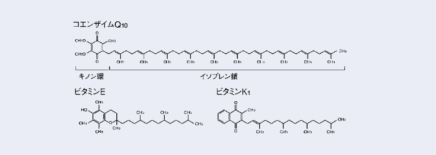 コエンザイムQ10,ビタミンE,ビタミンK1