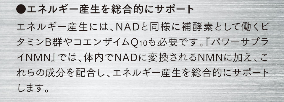 ●エネルギー産生を総合的にサポート　エネルギー産生には、NADと同様に補酵素として働くビタミンB群やコエンザイムQ10も必要です。『パワーサプライNMN』では、体内でNADに変換されるNMNに加え、これらの成分を配合し、エネルギー産生を総合的にサポートします。