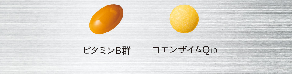 ビタミンB群　コエンザイムQ10
