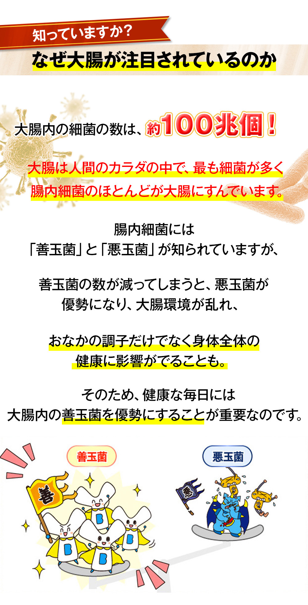 知っていますか？なぜ大腸が注目されているのか