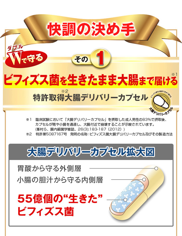 ビフィコロン6個新品未開封 ☆ビフィコロン6個 新品未開封 【公式通販】